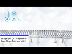 WIN50 DC 24v Motor Drive Roller Cold Chain Trasporto