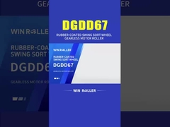 Rulli a motore senza ingranaggi, di gomma